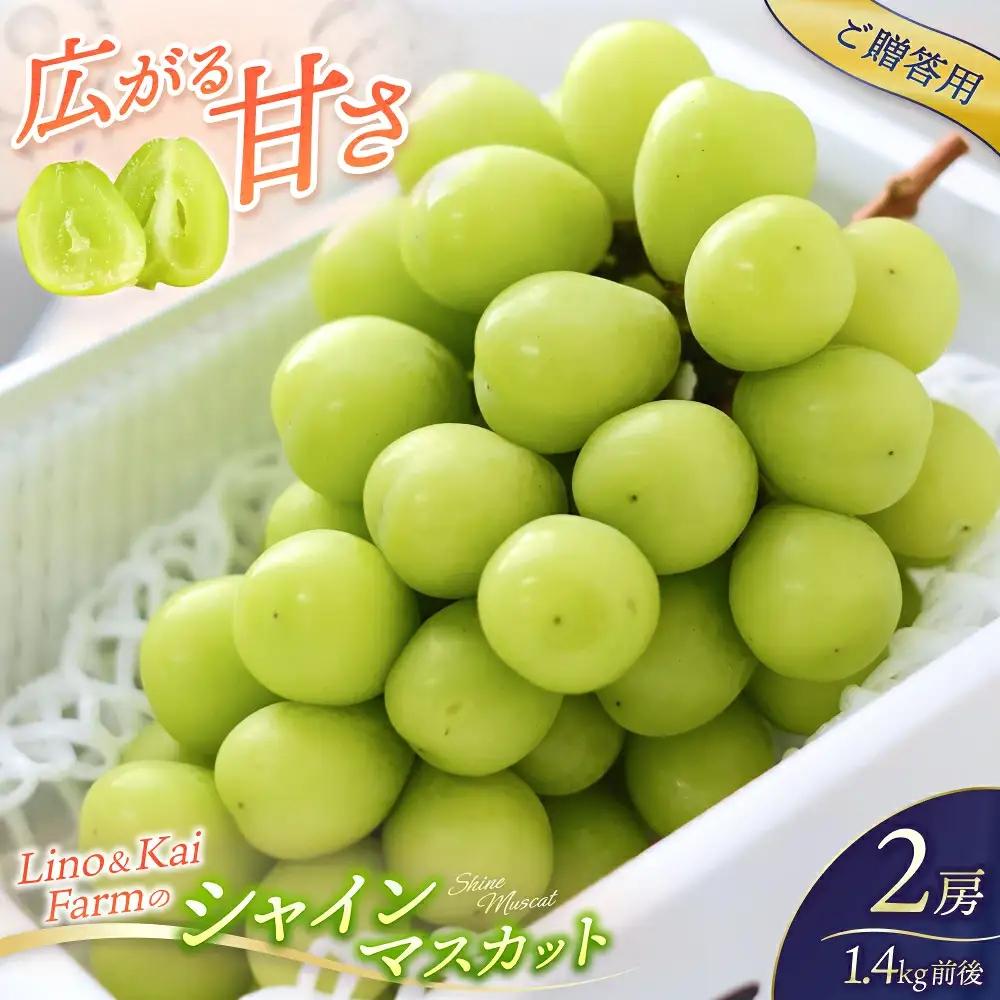 2026年先行予約 ご贈答用 Lino＆Kai Farmのシャインマスカット２房 （1.4kg前後） 化粧箱入 ぶどう 岡山 真庭市 シャインマスカット 贈答 【linokai010-02】