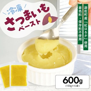 1180SA600G　冷凍さつまいもペースト600g(100g×6袋)