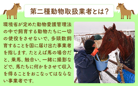 【返礼品なし】引退馬余生支援寄附 30,000円 一般社団法人オープンセサミアライブ 熊本県 南阿蘇村 馬 ウマ 支援 競走馬 引退馬 生活支援 動物愛護 保護 返礼品なし 寄附 牧場 オープンセサミ