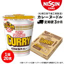 【ふるさと納税】 【定期便3か月】日清 カレーヌ－ドル★1箱（20食入）ラーメン麺 即席麺 麺類 ラーメン カップ麺 インスタント 麺類 カップラーメン ギフト ふるさと納税 麺類 ラーメン お楽しみ