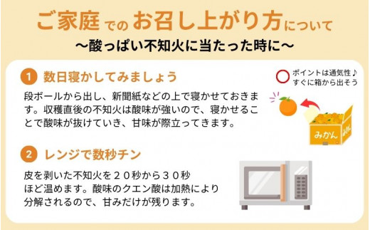 【ご家庭用】紀州有田産 不知火(しらぬひ)  約8.5kg 【予約】 訳あり ※2025年2月中旬頃～2025年3月上旬頃に順次発送予定(お届け日指定不可) 不知火 みかん ミカン 柑橘 果物 フルー