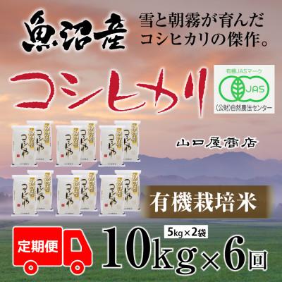 ふるさと納税 十日町市 【毎月定期便】【厳選☆川西地区育ち】　“有機栽培米”　魚沼産コシヒカリ　5kg×2袋　全6回