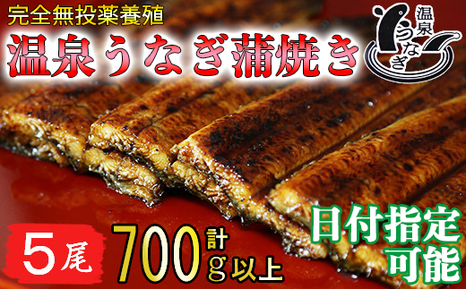 【日付指定可】温泉うなぎ蒲焼 5尾（140gサイズ） 国産うなぎ 母の日 父の日 ＜104-009_5＞