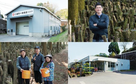 大分県産 吟選 最上級 花どんこ 210g （乾しいたけ）FD20