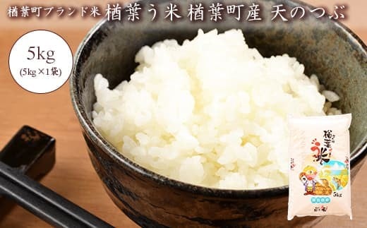 2025年産 楢葉町産ブランド米　楢葉う米 天のつぶ 5kg