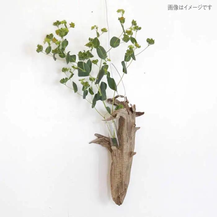 Driftwood FlowerBase 流木一輪挿し フラワーベース 糸島市 / WOOD'ARBRE(ウッドラヴル)【TIME】 インテリア 雑貨 一輪挿し [ADC003]