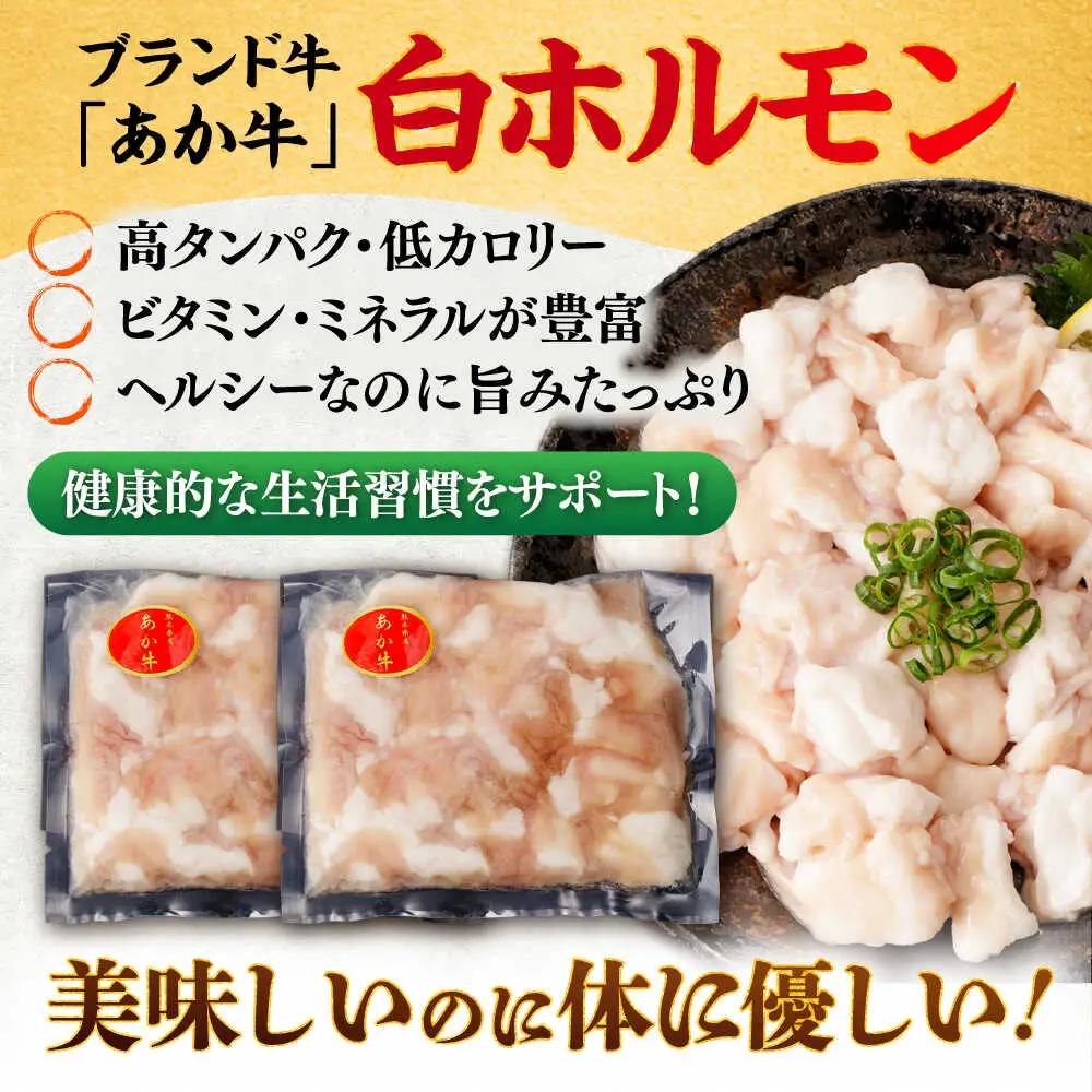 全12回定期便 あか牛 白 ホルモン 約500g ホルモン BHCY012