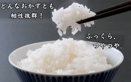 Y1073 鳥取県産「コシヒカリ」玄米10kg（令和8年産）