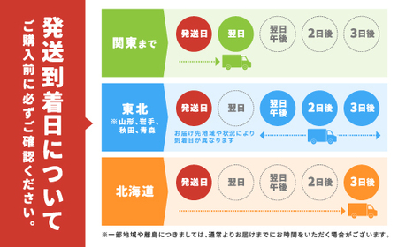 【先行予約】12月5日(金)発送希望 活き 車海老 (400g) 【期間限定】年内発送 常温 活きたまま 宇検村産 車えび 魚介 エビ 海鮮 刺身 人気 くるまえび 奄美大島 宇検村 鹿児島