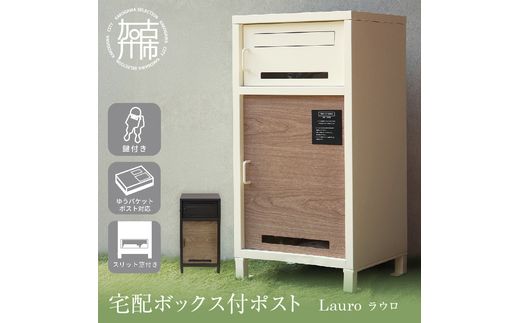 宅配ボックス付ポスト Lauro ラウロ【ディムグレー 】《 宅配ボックス 宅配ボックス付ポスト ポスト 置き型ポスト コンパクトサイズ 》【168016N000_01】