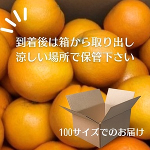ネーブル　約10kg 果物類 柑橘類 フルーツ ネーブルオレンジ オレンジ 