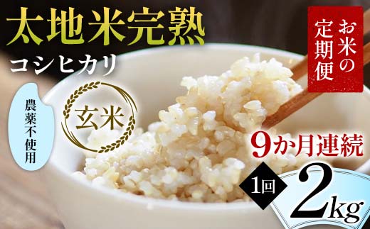 お米の定期便 農薬不使用米 太地米完熟 【こしひかり】 玄米2kg×9か月連続 ブランド米 お米 人気 F7X-0402