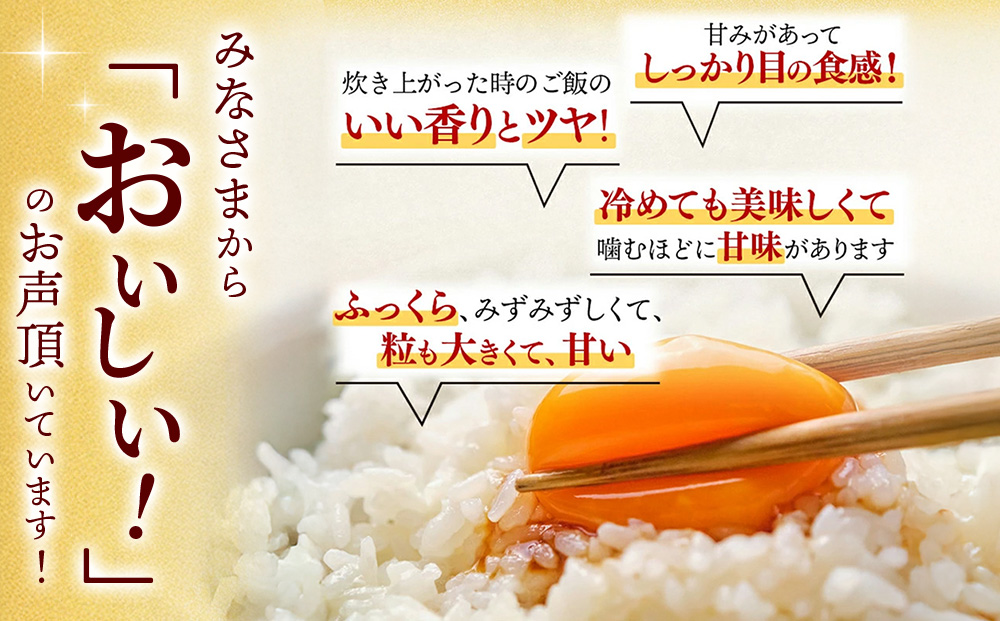 【定期便3ヶ月 新米】令和7年産 さがびより 精米 5kg×3回【特A受賞米 定期便 少量 人気 お米 コメ ブランド米 増田米穀】(H015205)