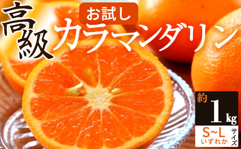 
                  ZS6160_主井農園 高級 カラマンダリン 1kg お試し用
                