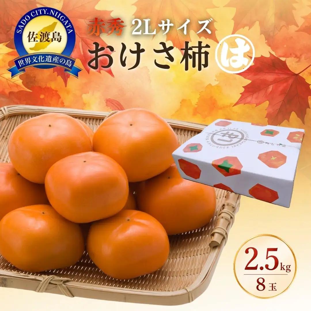 【先行予約 10月中旬より順次発送】おけさ柿 8玉 2L 赤秀 | 新潟県 佐渡市 柿