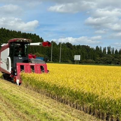ふるさと納税 十和田市 令和7年産　青森県産あきたこまち白米(真空パック)　精米5kg |  | 02
