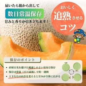 【2026年7月中旬から発送】とままえメロン 2玉 計3.2kg前後 大玉サイズ 北海道産 先行 予約 受付 赤肉 甘い 糖度14度 旬 産地直送 めろん フルーツ 果物 デザート 北海道 苫前町 と