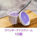 【ふるさと納税】【ファーム富田】ラベンダーアイスクリーム　10個入り