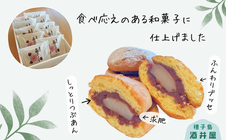 【冷凍便】種子島 ブッセ 島ふよう （10個入り） NFN623【275pt】
