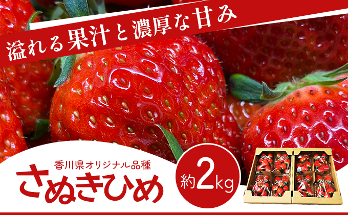 《高評価》 香川県オリジナル品種！ いちご【さぬきひめ】2kg（ フルーツ 果物類 苺 さぬき姫 取り寄せ 糖度 甘い 農園 特産品 秀品 大粒 デザート 人気 ストロベリー 冷蔵便 ）