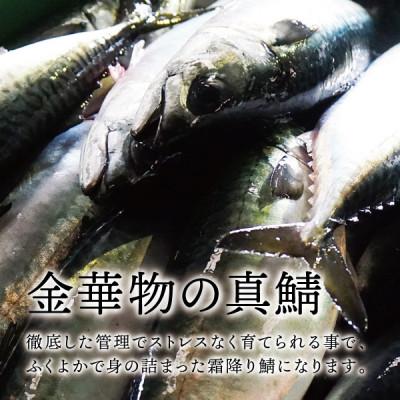 ふるさと納税 宮城県 宮城県石巻産【金華物 塩さば一夜干し】350g×5枚セット(CAS冷凍・養殖) |  | 01