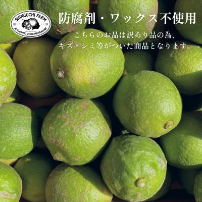 ふるさと納税 八幡浜市 【防腐剤・ワックス不使用】愛媛県産「訳あり」グリーンレモン 4kg【C70-53】 |  | 01