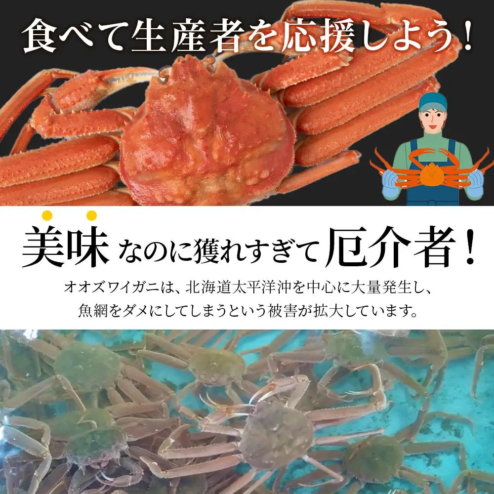 【白老町】☆オオズワイガニ かにみそ80g×むき身150g（各1パック）
