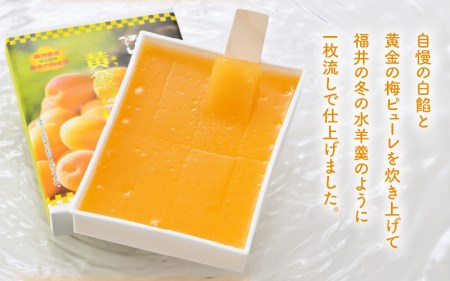 【2026年6月上旬以降発送】 夏の水羊羹！「黄金ゼリー」 250g × 3箱（計750g）  白餡と「黄金梅」ピューレ [e07-a015]