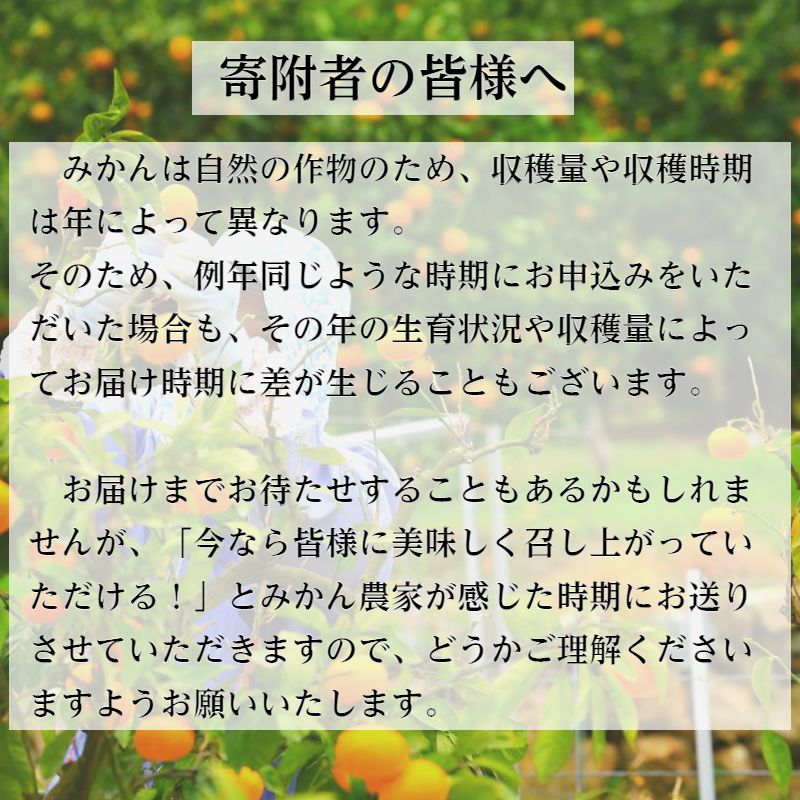 233.【10月お届け】有田みかん「未来への虹」（10kg）(A233-2)