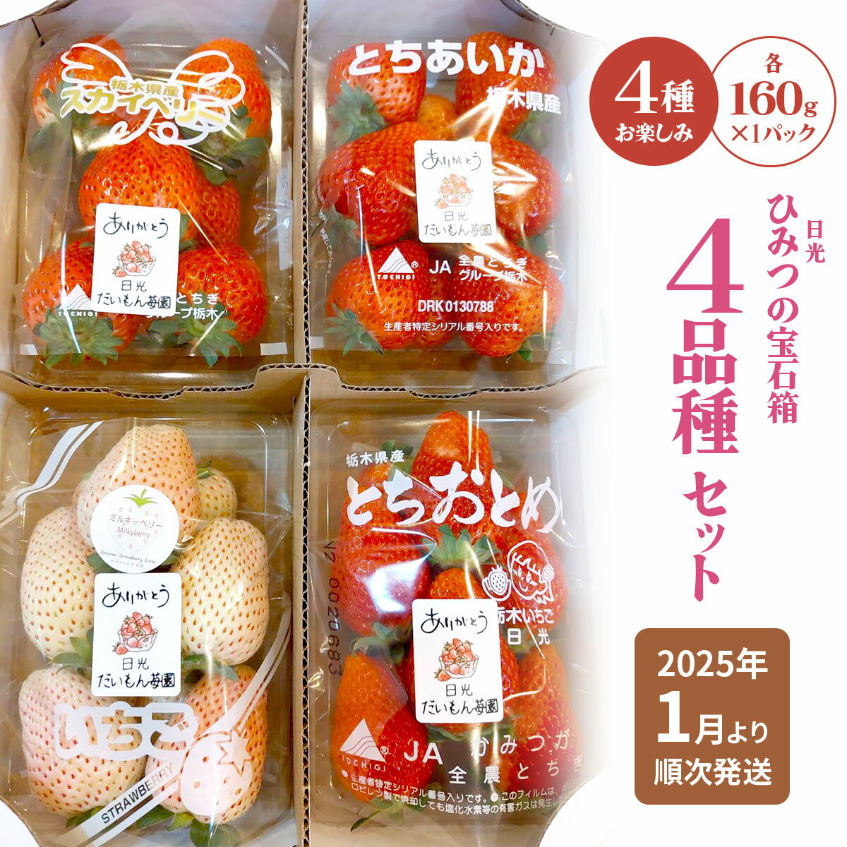 【ふるさと納税】[先行予約] ひみつ (日光) の宝石箱 4品種セット「とちおとめ・スカイベリー・とちあいか・ミルキーベリー」計160g×4パック [2026年1月上旬より順次発送]｜先行予約 期間限定 とちおとめ スカイベリー とちあいか ミルキーベリー いちご イチゴ 苺 [0650]