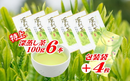 038-9　摘みたて！特上深蒸し茶100ｇ×6本　包装袋セット