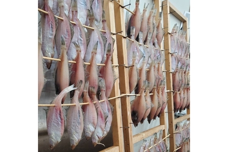 創業令和3年！何十年ぶりに浜田で鮮魚店誕生◎気合の入ったこだわり干物◎ 魚介 干物 ひもの 一夜干し おかず おつまみ 詰め合わせ セット 厳選 ギフト こだわり ふるさと納税 干物 【171_163