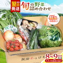 【ふるさと納税】【全12回定期便】諫早産野菜の詰め合わせ 8〜9品目程度 / 季節 旬 野菜 やさい 春野菜 夏野菜 秋野菜 野菜セット 詰め合わせ 野菜定期 野菜定期便 定期便 / 諫早市 / 肥前グローカル株式会社 [AHDI003]