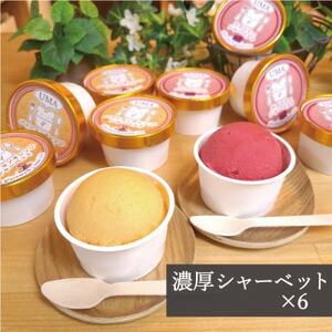 アイス職人が作るこだわりシャーベット 2種6個セット　各90ml入り 卵不使用 乳不使用 小麦不使用【配送不可地域：離島】【1369014】