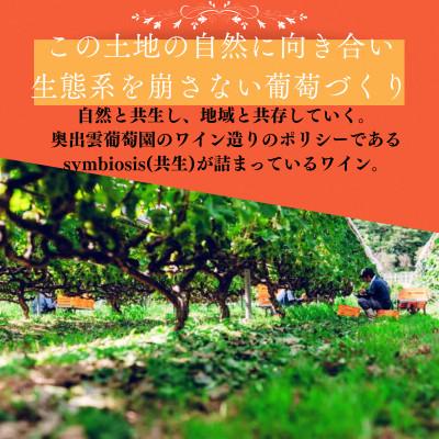 ふるさと納税 雲南市 カベルネソーヴィニヨン・ロゼ 750ml×4本 ミディアムボディ |  | 02
