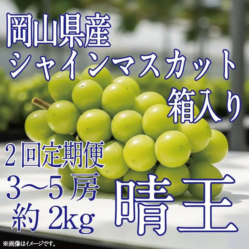 [HS]【定期便全2回】ぶどう先行予約9月・10月発送シャインマスカット晴王2kg箱（3～5房） 岡山県産 シャインマスカット