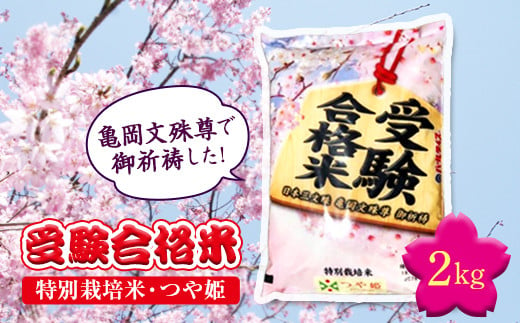 
            日本三文殊 亀岡文殊 受験 合格米 山形県産 特別栽培米 つや姫 2kg 米 合格 祈願 必勝 中学校 高校 大学 受験 入試 F20B-099
          