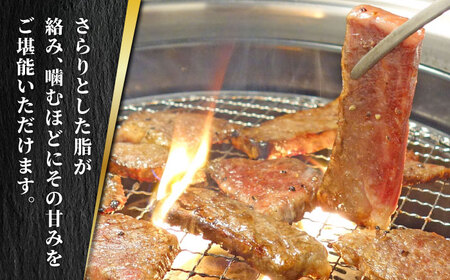 あか牛 カルビ 焼肉セット 【有限会社 三協畜産】 国産 赤身 赤牛 褐牛 あかうし 褐毛和種  [ZEB007]