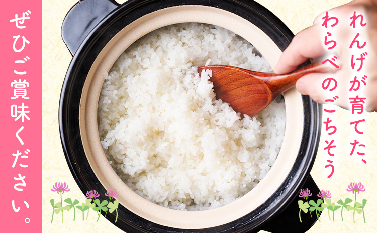 熊本県菊池市産のれんげ米 5kg 《30日以内に出荷予定(土日祝除く)》  精米方法 玄米 お米 レンゲ米 熊本県産 九州産 送料無料