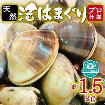 訳あり はまぐり ハマグリ 蛤 増量 国産 天然 送料無料 1.5kg 1kg超 千葉県産 九十九里産 10月～7月発送 期間限定 コロナ支援 「BBQ」 「おせち」「お雑煮」「お吸い物」にも 貝 わけあり ※2/20～3/2発送不可
