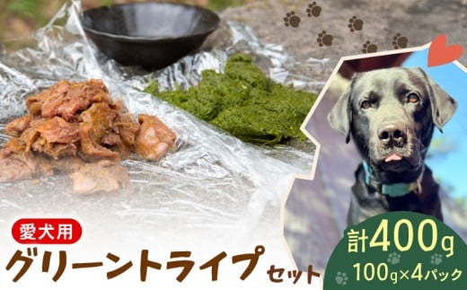 犬用 シカ の グリーントライプ セット 2種類 100 g× 4 袋 ジビエ  鹿肉 肉 鹿 胃 ペットフード ドッグフード ペット 安心 健康 おやつ 犬 国産 ごはん トッピング ペット ペット用品 ペットフード 犬のおやつ  犬用 ペット用 ご褒美 乳酸菌 全犬種対応 小分け 個包装