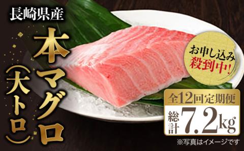 【先行予約】【全12回定期便 (月1回) 】長崎県産 本マグロ 大トロ皮付き 約600g 【大村湾漁業協同組合】 [BAK030] / マグロ まぐろ大トロ 大とろ 刺身