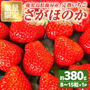 【ふるさと納税】【数量限定】【期間限定】 鹿児島県産 いちご 「 さがほのか 」合計380g（8～15粒×1P） ストロベリーハウス彩より直送 イチゴ 苺 国産 贈答 プレゼント 果物 フルーツ【2025年1月～3月発送】【Strawberry　House　彩】