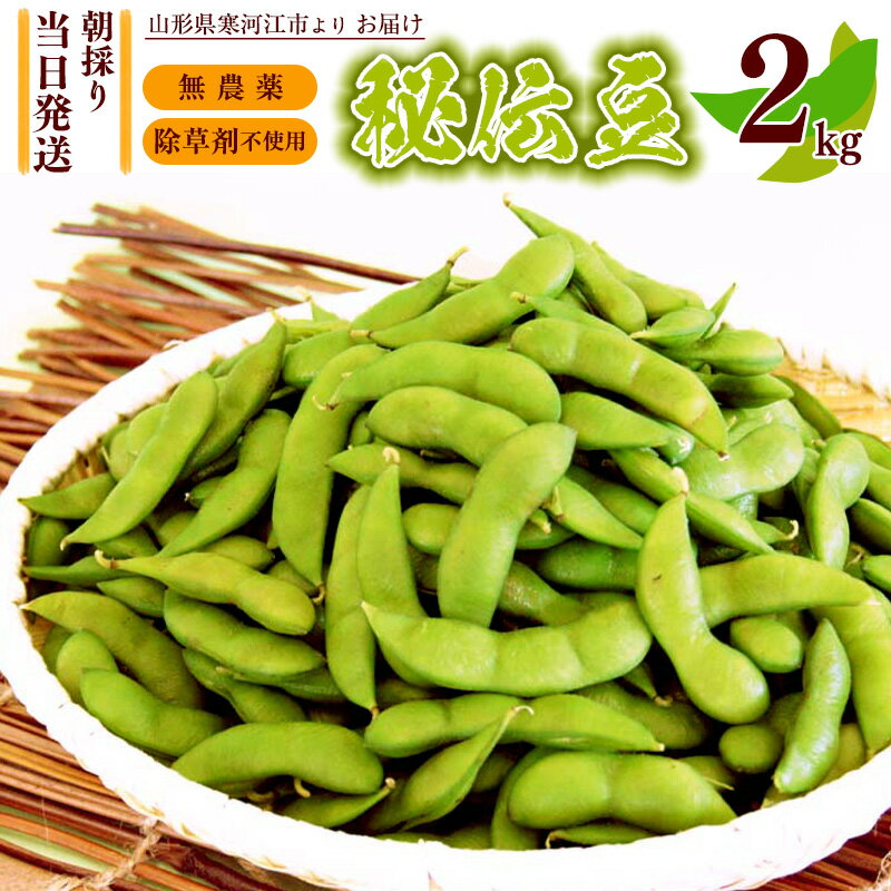 【ふるさと納税】【無農薬・除草剤不使用】 枝豆 「秘伝豆」 2kg 山形産 【クール便】 【2025年9月下旬から10月中旬頃】／ お取り寄せ グルメ 野菜 ご当地 晩酌 おつまみ おやつ ずんだ 豆ごはん 名産 特産 安心 安全 東北 山形 山形県産 2025年産 令和7年産