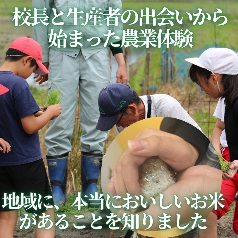 【2026年11月以降発送】令和8年産 新米 にこまる 天野輝10kg （精米後約9kg）てんのかがやき 大阪府 河内長野市産 白米 甘み 粘り ブランド米 こめ コメ 子ども 食育 減農薬 河内長野