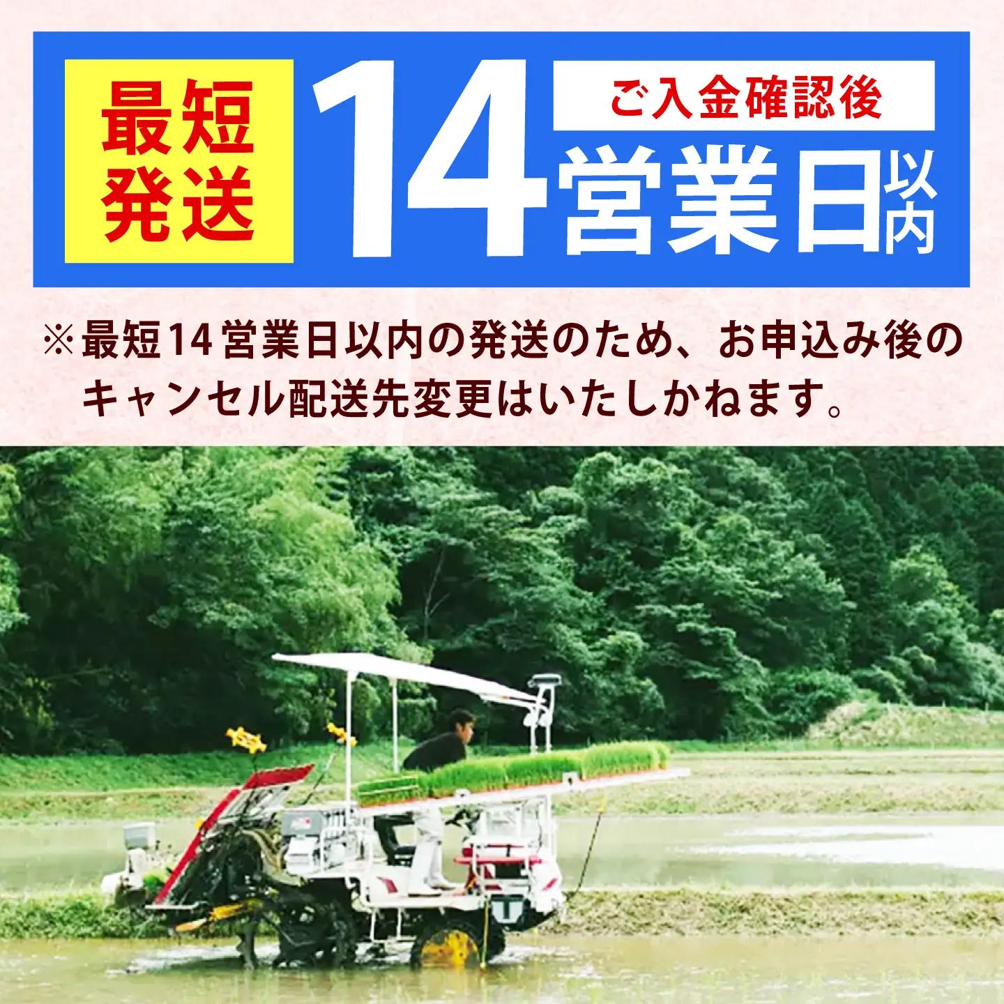 令和7年産　福岡県　夢つくし　15kg（5kg×3袋）《築上町》【カネガエ】[ABFA003]