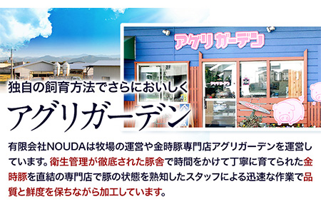 金時豚を使ったレトルト4種セット 