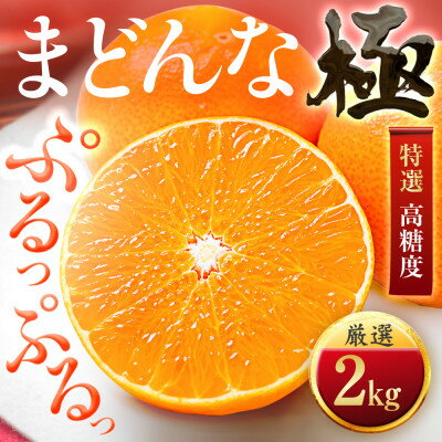【ふるさと納税】「夕やけブランド」ぷるぷる食感【まどんな】2kg　※紅まどんなと同品種　【C49-39】_ みかん ミカン 柑橘 マドンナ まどんな 果物 くだもの フルーツ 甘い 希少 ぷるぷる 愛媛 極 【1508951】