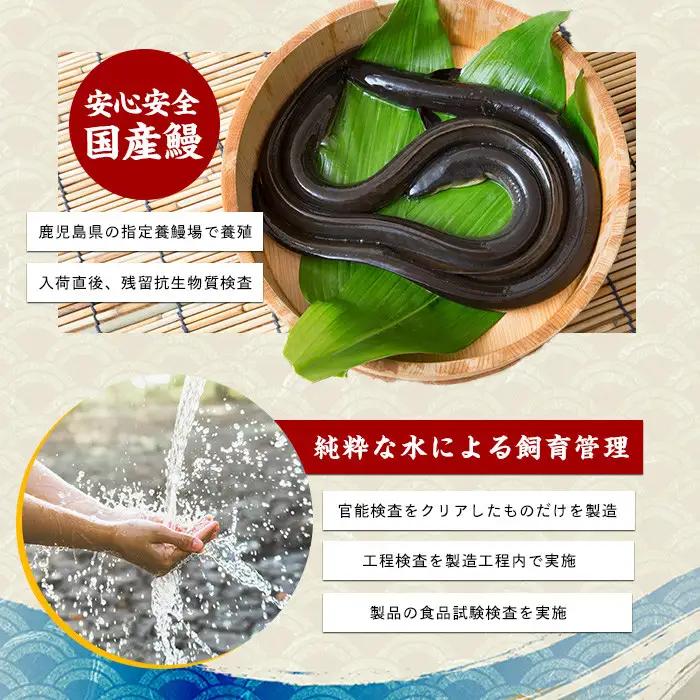 【丑の日に合わせてお届け！】鹿児島県産 うなぎ蒲焼 じっくり焼き約125g×2尾 化粧箱 入り(大新/IB021-011u) うなぎ