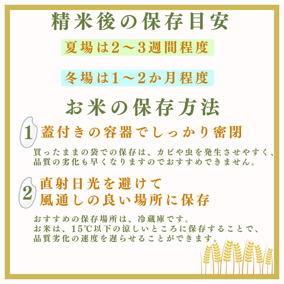 【3ヶ月定期便】白米 生坂村産コシヒカリ 無洗米 5kg 長野県産 | コメ 白米 長野県 生坂村
